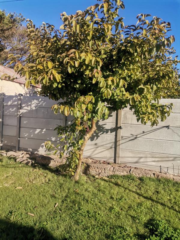 2 Bedroom Property for Sale in Albertinia Western Cape